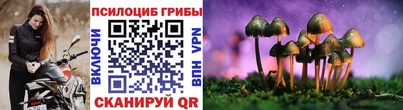 Галлюциногенные грибы прущие грибы  Алупка 